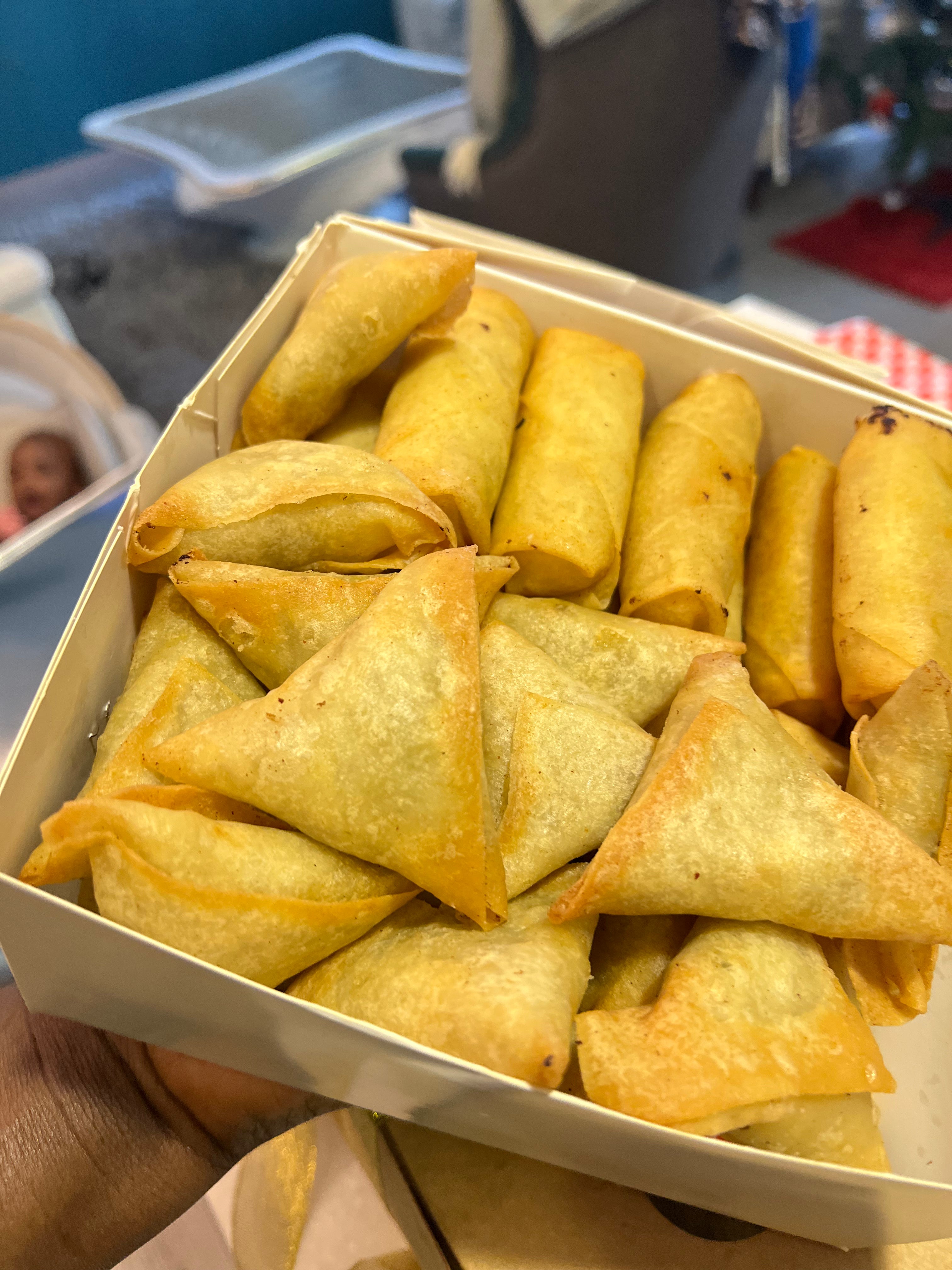 Spring Rolls x Samosa